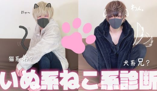 【性格診断】結局この兄弟、犬系男子？猫系男子？どっちなん？？？？？？