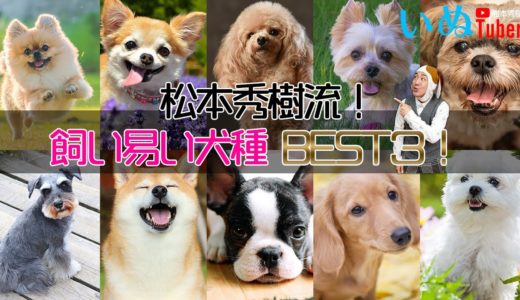 松本秀樹流！飼い易い犬種BEST3！