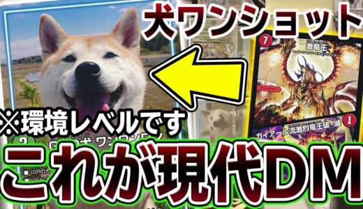 【速報】犬(本物)のカードが環境トップになるかもしれない。最速3キル犬ワンショットがヤバいｗｗｗ【デュエマ】