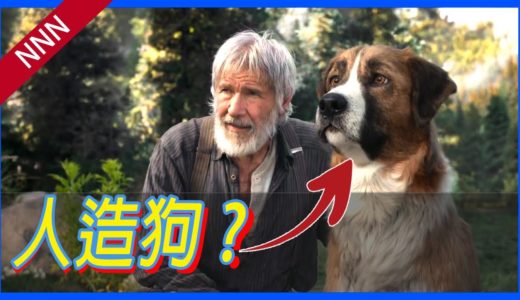 🐶極地守護犬🐕 連「狗狗」也需要全電腦特效嗎？|電影看什麼 | 影評 | 解析