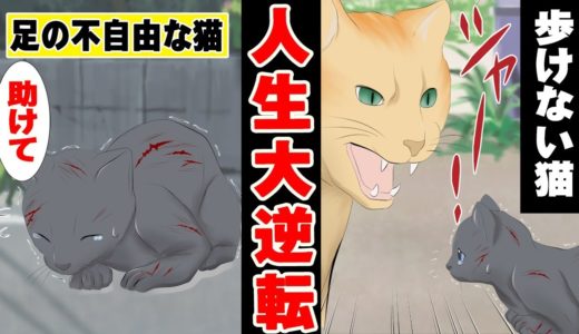 生まれつき足が不自由で捨てられた子猫 →優しい犬に出会い人生大逆転！＜ マンガ動画 ＞