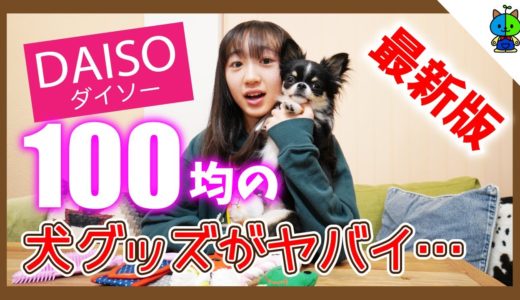 【100均】ダイソーの犬グッズが凄過ぎる件…🐶こんな物まで100円？【ももかチャンネル】