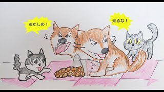 車椅子のあん - 元気に保護犬生活♪編 -