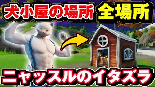 【ニャッスル】犬小屋を破壊する 全場所 まとめ /ニャッスルのイタズラ チャレンジ  完全攻略【フォートナイト】