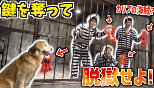 【刑務所】バレずに犬の好物で気を引き鍵を奪え！脱獄！リアルカリブの海賊