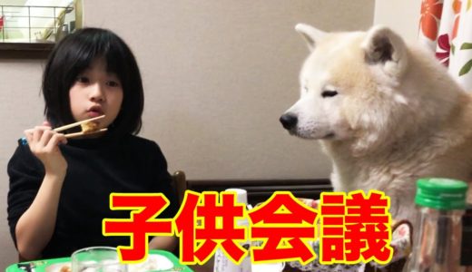 秋田犬そうすけ・急がない・のんびり過せば平和になります・She takes a walk with her dog