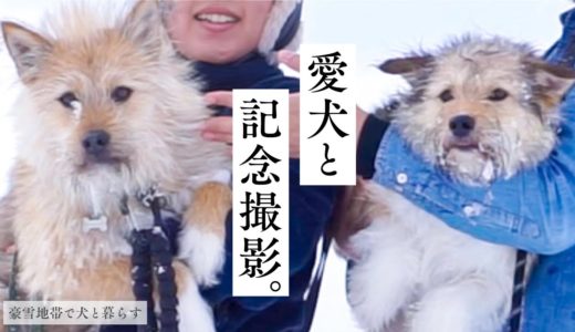 真冬に外で犬と記念撮影をしてみたら犬たちが大はしゃぎでした！