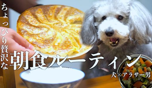 🐶犬とアラサー独身男のちょっぴり贅沢な朝食モーニングルーティン【トイプードル】【ルーティン】