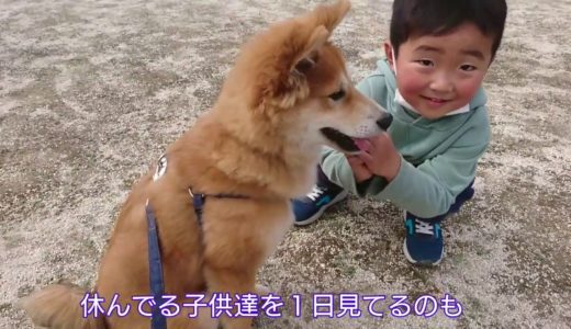 保護犬だん君！子供達といっしょに赤ちゃんの時に抱っこで行った公園に行ってみようよ！