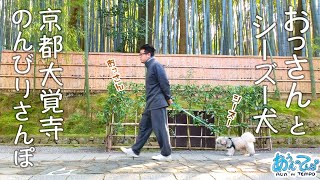 【おっさんと犬】京都大徳寺のんびり犬さんぽ