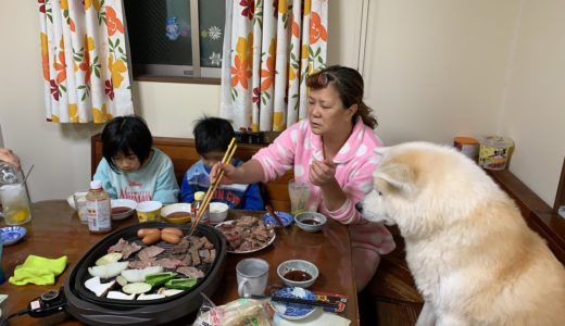 秋田犬そうすけと牛タンライブ