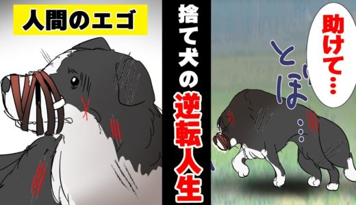 心ない飼い主に口を縛られポイ捨てされた犬→諦めかけてたその時奇跡が起こる…＜ マンガ動画 ＞