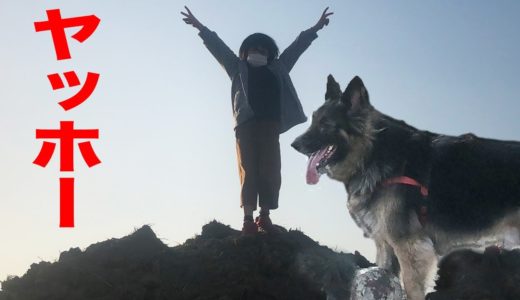 春近し・大型犬と遊ぼう！シェパードマック、孫娘どろんこ遊び、荒川河川敷・I like playing with dogs