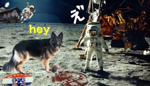 月面散歩？アポロで大型犬・シェパードマックと惑星探索！I want to travel to the moon