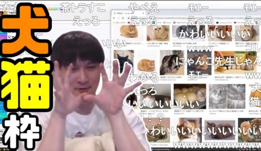 加藤純一の犬猫トーーク【2020/03/05】