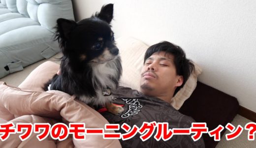 フィッシャーズの朝ってどんな感じ？マサイの愛犬チクワと朝ごはん！