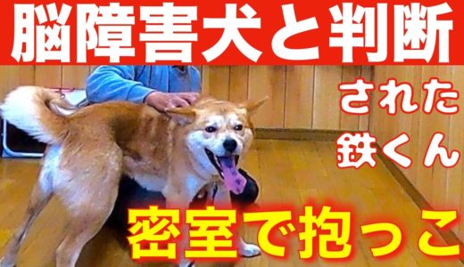 噛まれるかも？脳障害犬と判断された保護犬 鉄くんと密室で初抱っこ