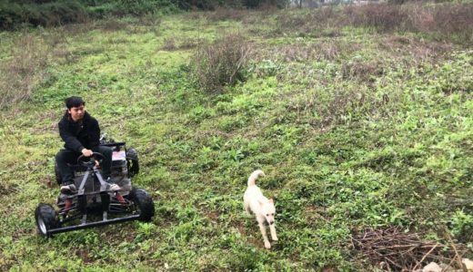 小夥帶田園犬去地裡溜圈，結果發生小意外，趕緊打電話叫媳婦來支援