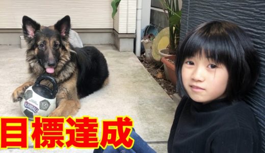 目標達成！ホッピング500回・シェパード犬マックも喜びます