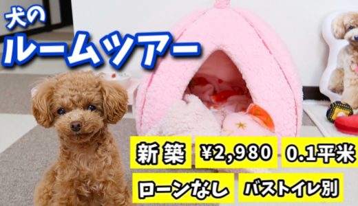 【ルームツアー】新築で購入した犬のご自宅を紹介