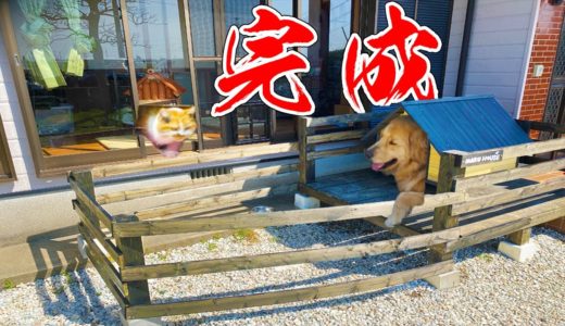 まるが大喜びのテラス付き犬小屋がついに完成！！