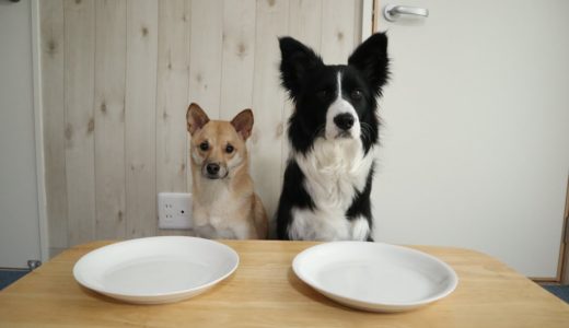 犬とうどんと納豆と【編集なし】