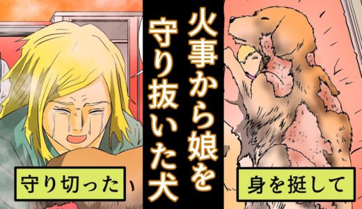 【感動】火事から赤ちゃんを守り抜いた犬に涙が止まらない......【マンガ動画】