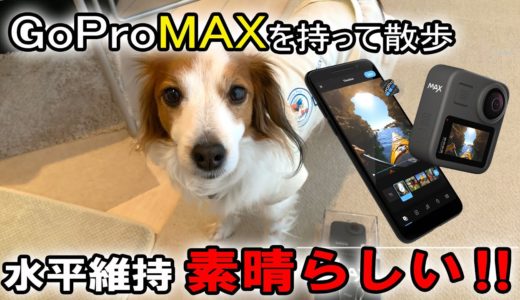 GoProMAXを持って犬散歩。 水平維持が凄いです