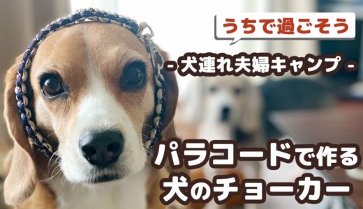 パラコードで作る犬のチョーカー【インドア派キャンパーの引きこもり生活】