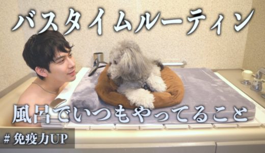 🐶犬とアラサー男のバスタイムルーティンってかただの入浴法。【トイプードル】