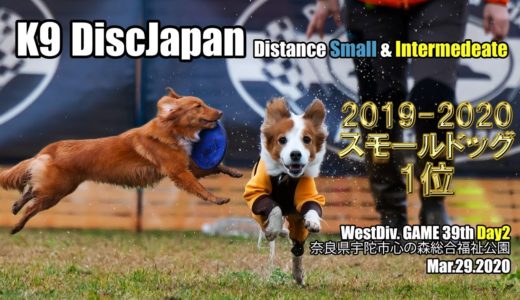 【フリスビー犬】K9DJ テラ年間ランキング１位に！＠宇陀 Mar29’2020 RVLife With Dogs