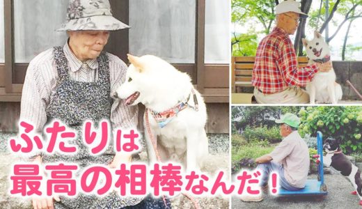 おばあちゃん・おじいちゃんと犬たちの心温まる光景☀【PECO】