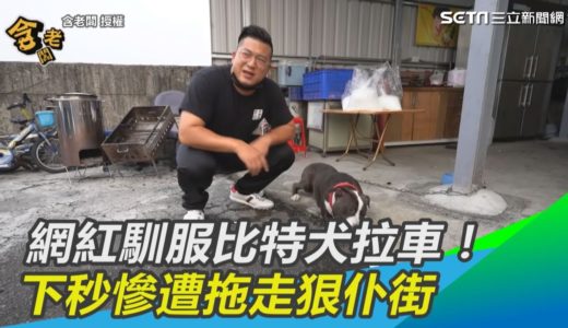 網紅馴服比特犬拉車！　下秒慘遭拖走狠仆街｜三立新聞網SETN.com