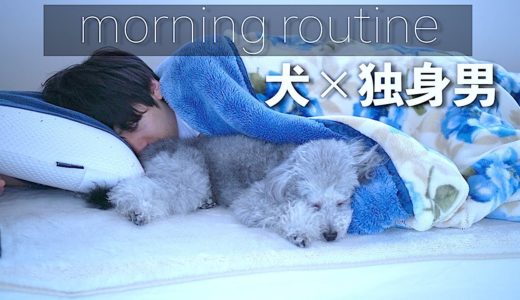 🐶犬と27歳独身男性の一軒家二人暮らしの自粛中モーニングルーティン【トイプードル】【モーニングルーティン】