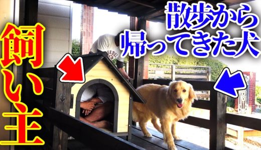 散歩から帰ってきた時に犬小屋の中に飼い主がいたら？【ドッキリ】