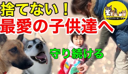 最愛の我が子達へ…保護犬捨てない！最後まで守り続ける！