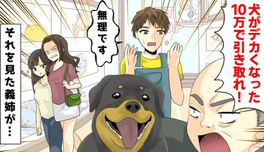 DQN親父「犬がデカくなりすぎて飼えない！10万で引き取れ！」ペットショップ「それは無理です」→義姉がブチ切れた結果ww