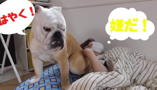 「お尻」が原因で犬と大喧嘩してしまいました・・。