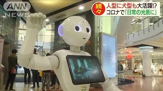 人型に犬型も！コロナでロボットが「日常の光景」に(20/05/28)