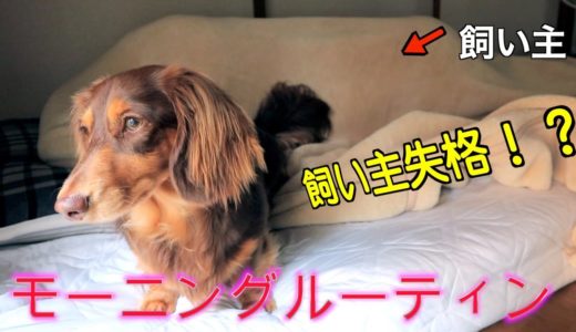 【外出自粛中のモーニングルーティン】犬と暮らす男の生活リズムが乱れまくったヤバすぎる朝。【ミニチュアダックスフンド】