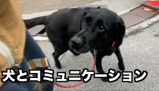 犬とのコミュニケーションは絆を感じるね