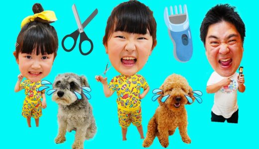 【寸劇】家でペットサロン！犬トリミングごっこ・おままごと Pet salon at home! Dog trimming - はねまりチャンネル