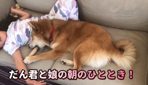 保護犬だん君と娘の朝のひととき、お前たちは平和だな！