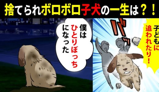 【漫画 感動泣ける話】ボロボロで捨てられ嫌われた犬を拾った → ずっと一緒だよと約束したはずが…汚い犬の末路 マンガ動画 Miyu