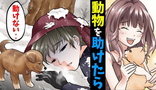 【漫画】段ボールに入れられたボロボロの犬を助けたら、意外な形で返って来た･･