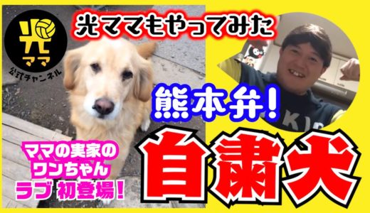 【自粛犬】光ママも熊本弁でやってみた！！