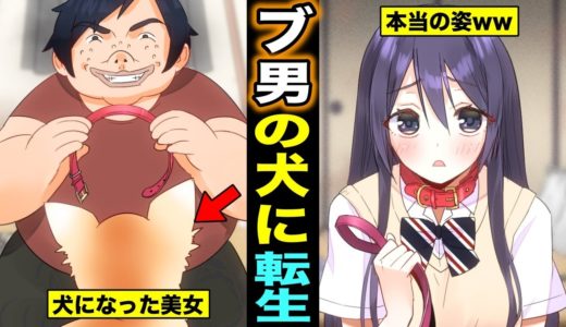 【漫画】美人JKがブ男のペットの犬に転生するとどんな生活になるのか？ブ男のペットの犬になった美人JKの末路・・・（マンガ動画）