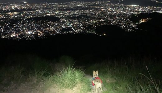 【やたら夜景を眺める犬🐕】暗闇から何者かに観察されつつ歩く夜の大文字山⛰