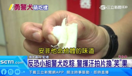 偵爆犬慶端午！網友讚「瘋狂賣萌吃粽」｜三立新聞台