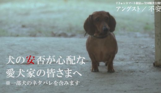 一家惨殺事件を映画化…衝撃作『アングスト／不安』“犬だけは無事”特別映像